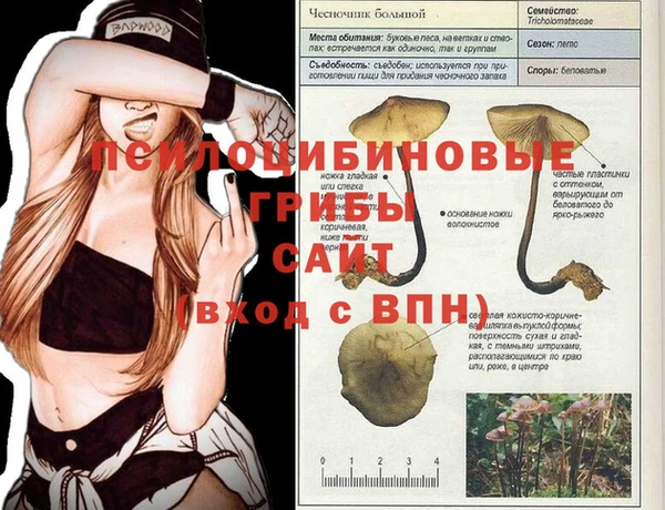 дживик Абдулино
