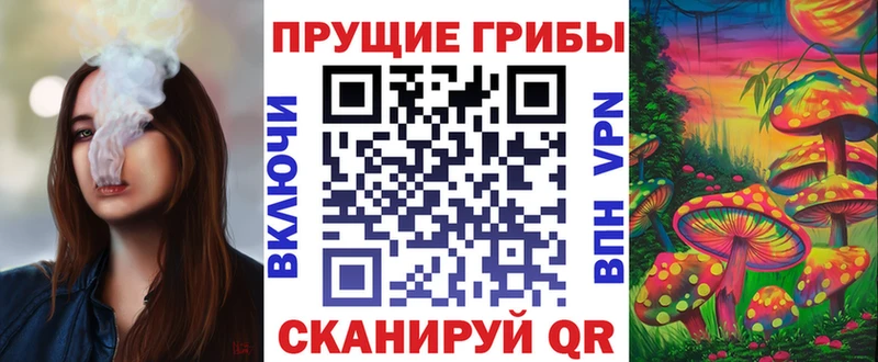 продажа наркотиков  маркетплейс формула  Псилоцибиновые грибы мухоморы  Снежногорск 