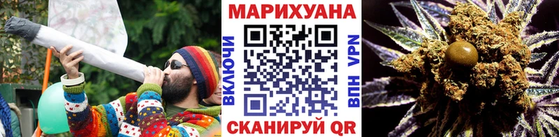 как найти закладки  Снежногорск  Бошки марихуана THC 21% 